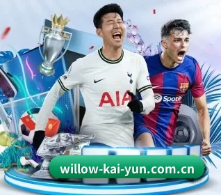 五大服务分区,信息按项目分类 - Kaiyun