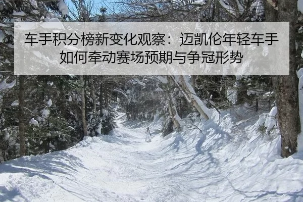 che-shou-ji-fen-bang-xin-bian-hua-guan-cha-mai-kai-lun-nian-qing-che-shou-ru-he-qian-dong-sai-chang-yu-qi-yu-zheng-guan-2-887.jpg